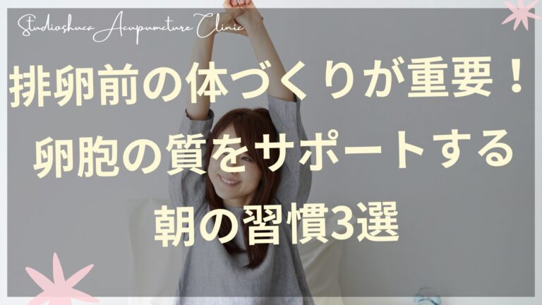 排卵前の体づくりをサポートする朝の習慣を実践する妊活中の女性
