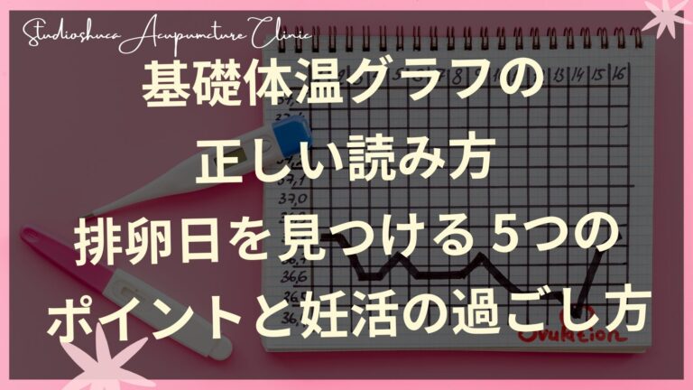 排卵日を逃さない！基礎体温から読み取る体のサインと妊娠確率アップの過ごし方【松戸・流山・我孫子から10分の不妊鍼灸院】