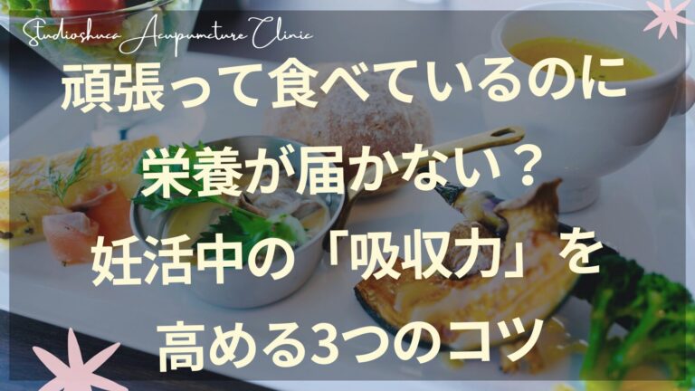 妊活中の消化吸収力を高めるセルフケア｜温かい食事と東洋医学の脾のケア