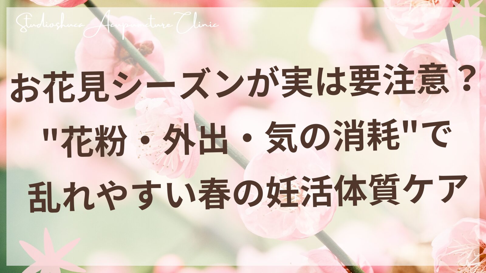 春の妊活体質ケア 花粉と気の消耗 柏市の妊活サロン